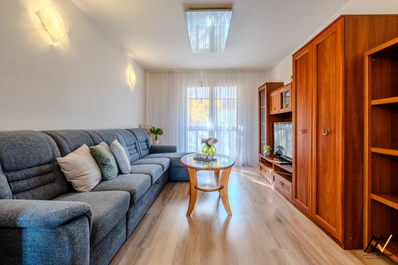 Living room in a two-room apartment with a wooden decor floor, comfortable sofa, and a furniture wall.