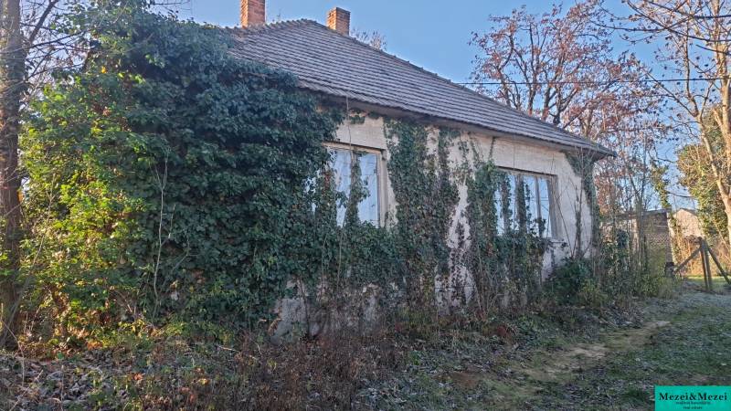 A cottage in Suchá nad Parnou overgrown with ivy and surrounding vegetation.