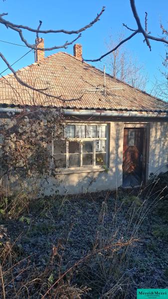 An old cottage in Suchá nad Parnou, surrounded by climbing plants and an overgrown garden.