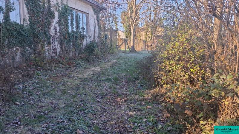 The path to the cottage in Suchá nad Parnou, surrounded by ivy-covered plaster and trees.