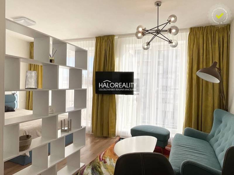 A living room with bright curtains, a wooden decor floor, and a bookshelf in a studio apartment.