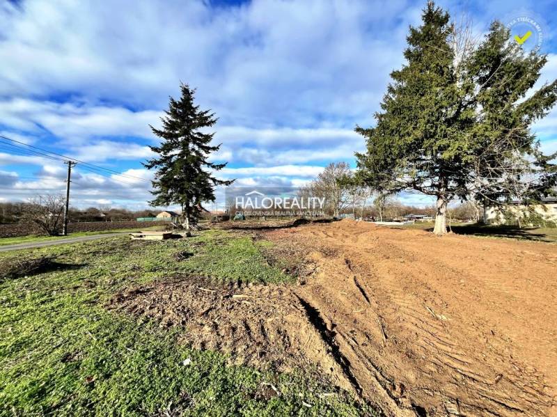 Residential plots in Ondrejovce with grass and trees, adjacent road.