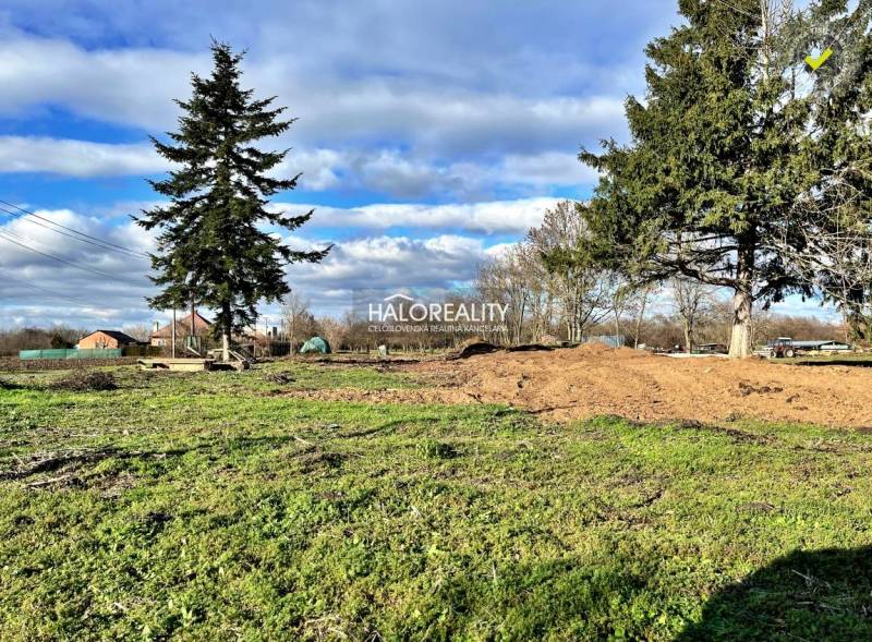 Greenery and trees on the plots - living in Ondrejovce under the blue sky.