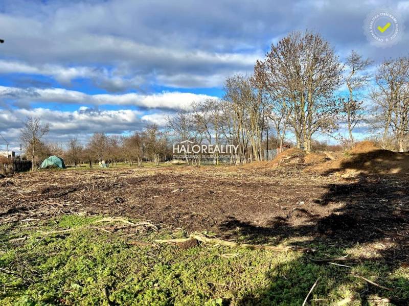 Land - housing in Ondrejovce. Spacious meadows with sparse trees under a blue sky.