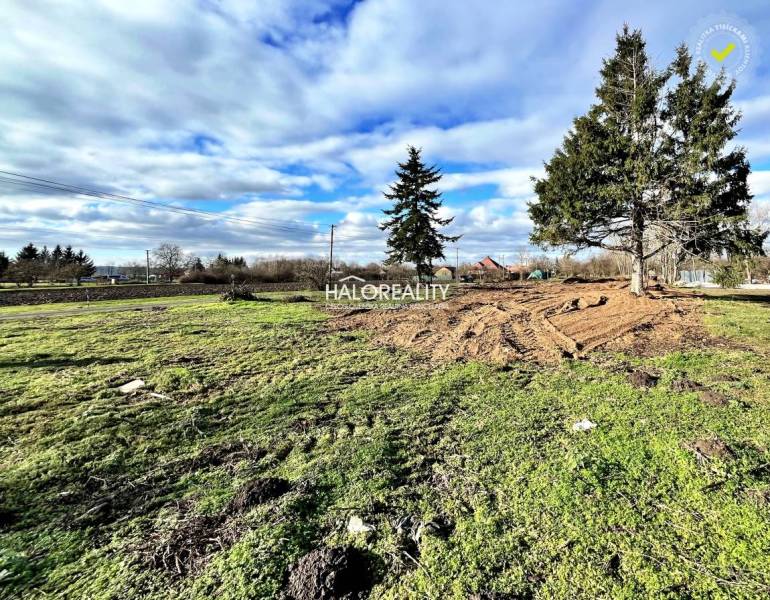 Plots - housing in Ondrejovce, green areas and conifers under the blue sky.