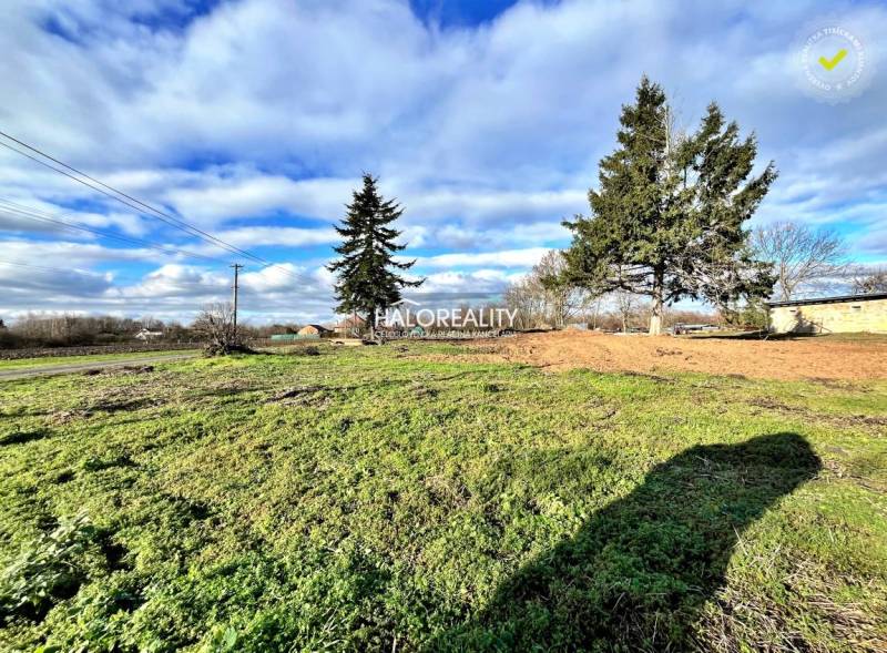 A grassy plot with coniferous trees in Ondrejovce, ideal for living.
