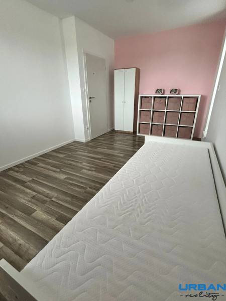 Bright room with a pink wall, bed, and dresser, wooden decor flooring.