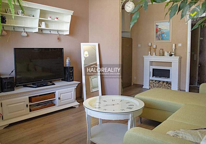 Living room with a television, fireplace, and wood-patterned flooring in a two-room apartment.