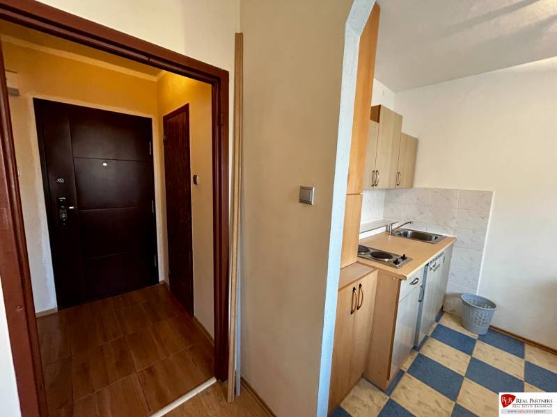 Entrance hallway with a kitchenette in a studio apartment, floor with wood decor.
