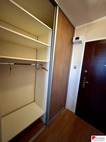 Built-in wardrobe in the hallway of a one-bedroom apartment with a wood-patterned floor.