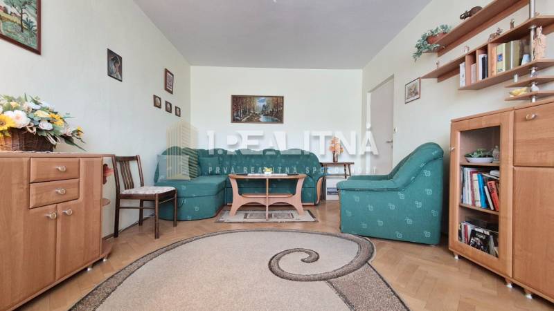 Living room in a two-room apartment with a sofa, carpet, and furniture with a wooden decor.