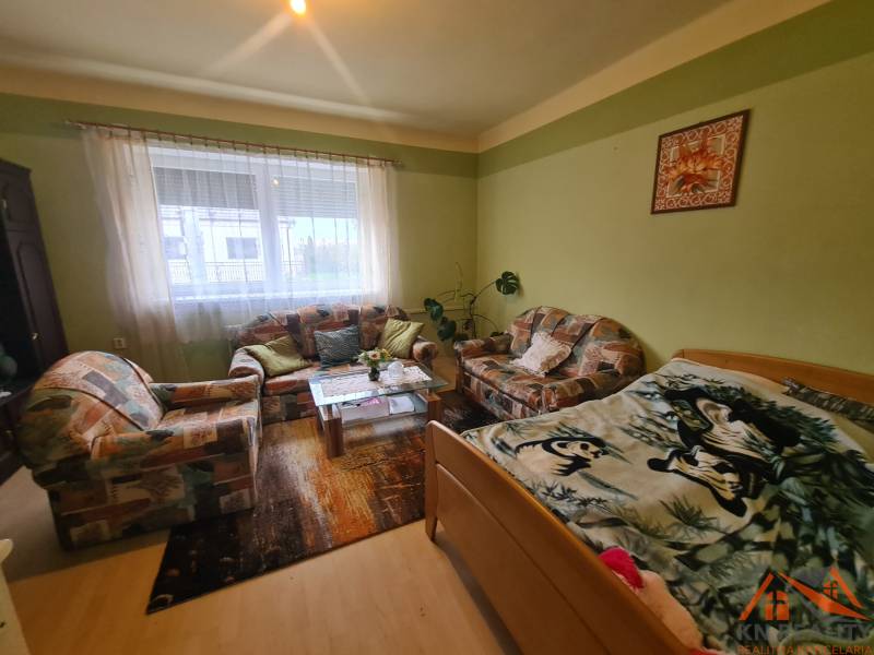 Living room in a family house with a sofa, carpets, and a decorative painting on the wall.