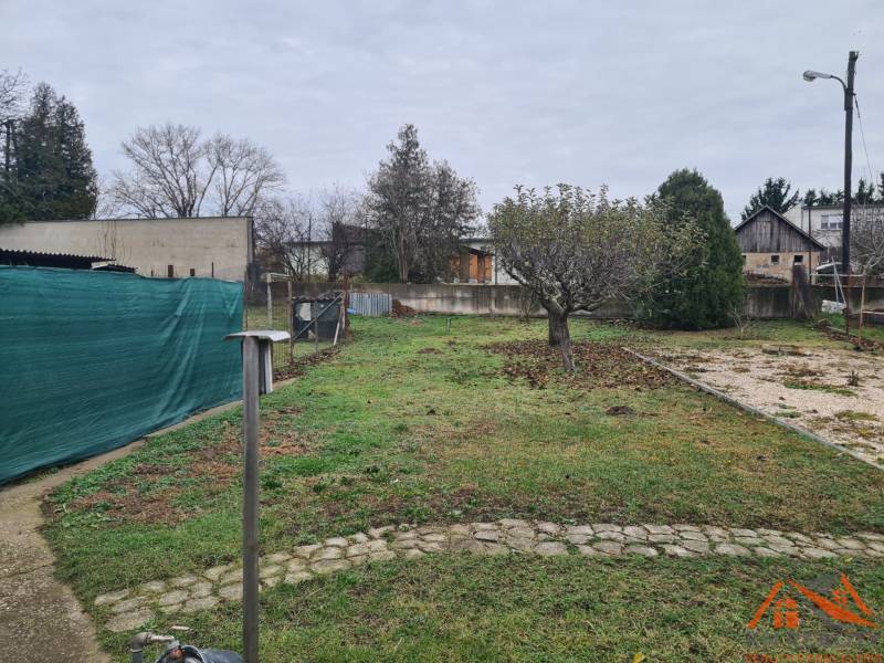 A garden at a family house in Hurbanovo with a tree and grass vegetation.