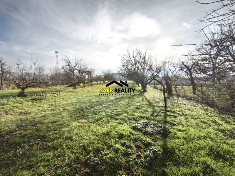 A garden at a family house in Lúčnica nad Žitavou with trees and grass vegetation.
