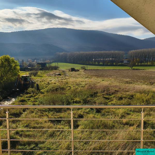 A view from a family house in Buková of the landscape with trees and a field.