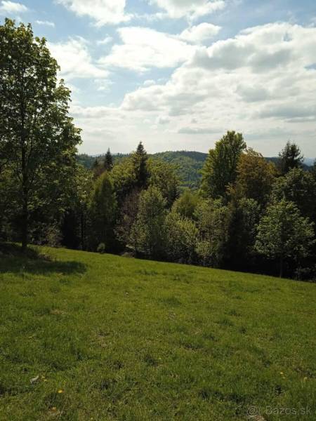 Greenery and trees in the meadow, recreational plots in Oščadnica, Oščadnica, nature.