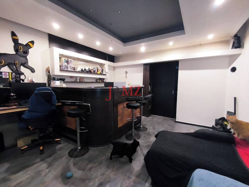 A room in a family house with a bar counter, a computer desk, and two cats.