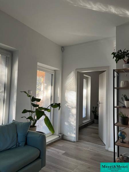 A bright living room with plants, a sofa, and a wooden decor floor in a four-room apartment.