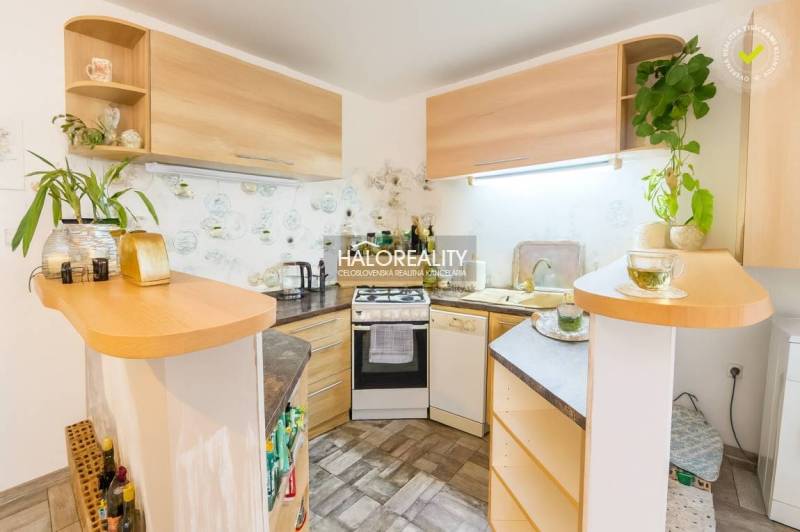 A kitchen in a family house with a corner unit and wooden decor, decorative plants on the shelves.