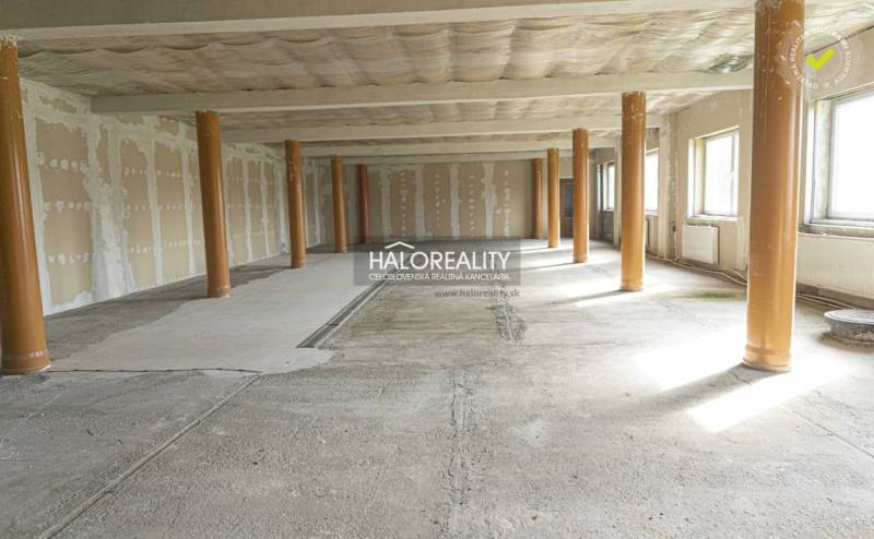 Spacious commercial spaces with windows and columns, unfinished floor, Tibava.
