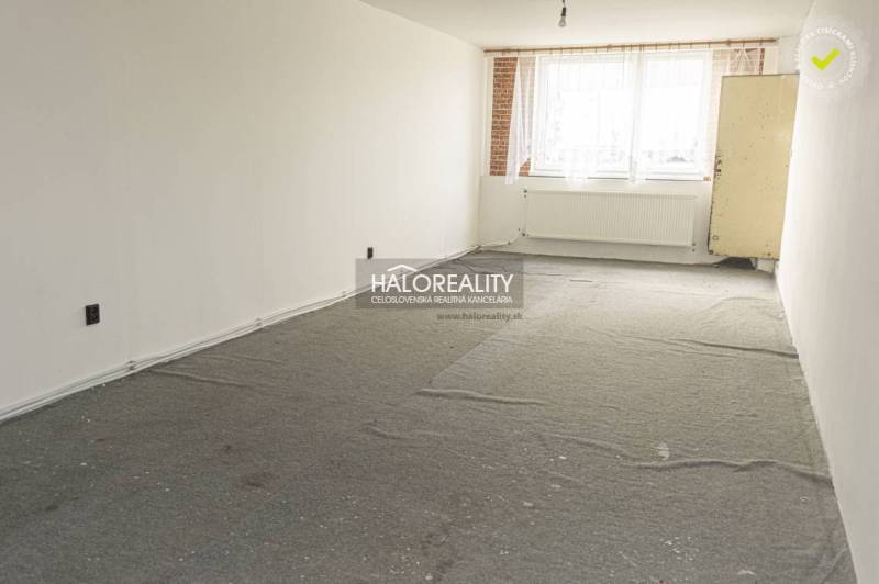 An empty interior of commercial space with carpet and a large window, bright walls.