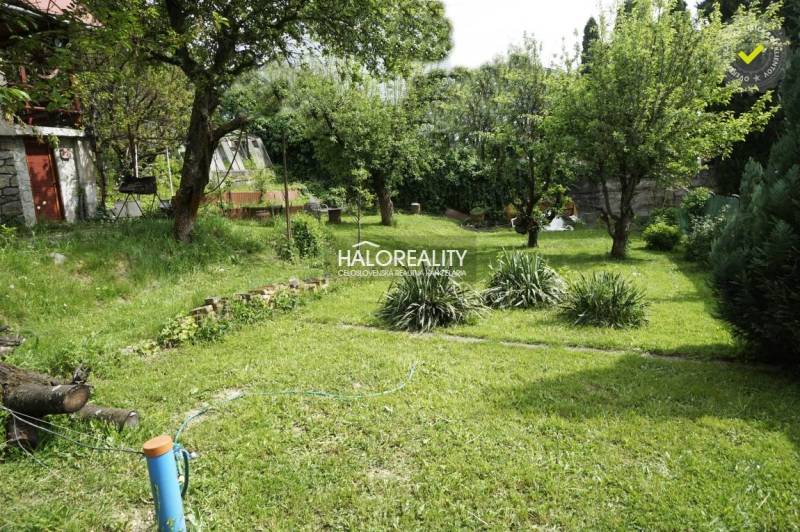 A garden with fruit trees, a lawn, and a cottage, ideal for relaxation in nature.