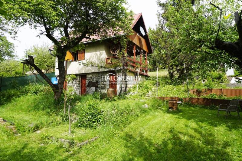 In the picture, there is a cabin situated on the edge of a forest surrounded by lush greenery.
