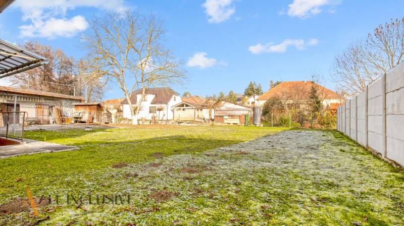 Garden at a family house on Nemečkovská Street in Prašice with trees and a lawn.
