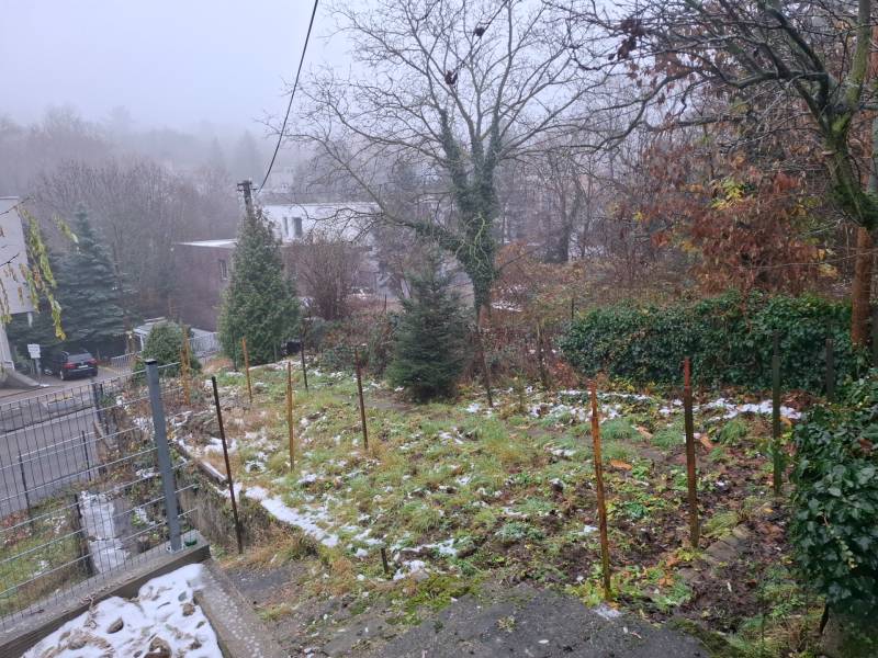 A lush garden at a family house on Búdková Street in Bratislava - Old Town.