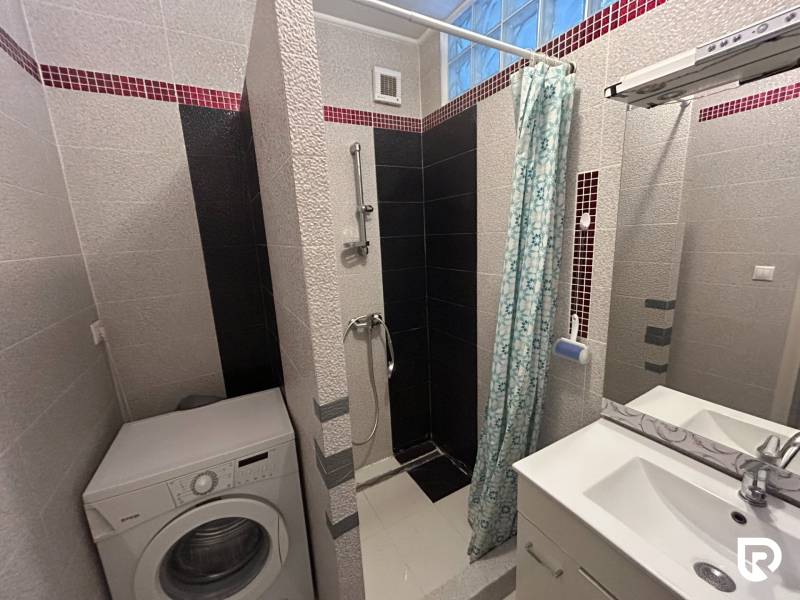 A bathroom in a studio apartment with a shower, washing machine, and sink.