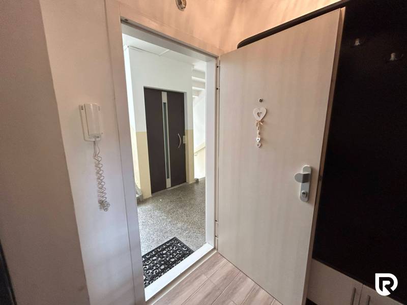 Entrance door with a decorative pendant and floor with wooden decor in a studio apartment.