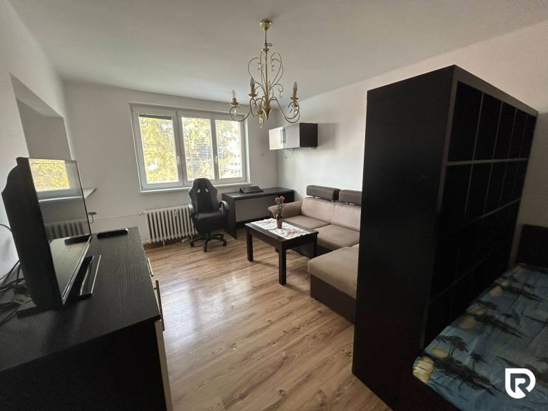 Living room in a studio apartment with a sofa, table, and wood-patterned flooring.