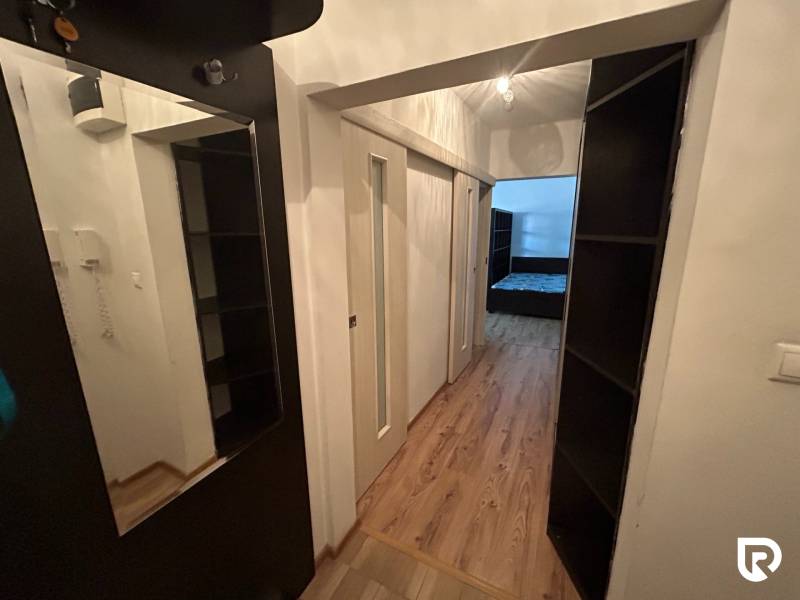Interior of a 1-room apartment with wood-patterned flooring, a mirror, and storage spaces.