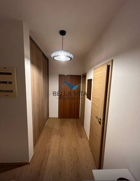 A hallway in a 2-room apartment with a wooden decor floor and a pendant light.