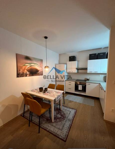 Kitchen and dining room in a 2-room apartment with a wood-patterned floor.