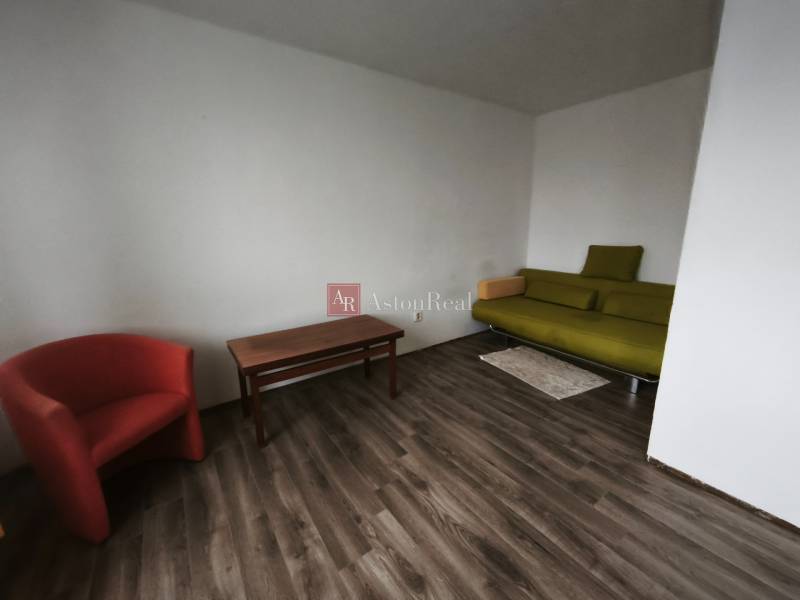 A one-room apartment with a wooden-patterned floor, a green sofa, and a red armchair.