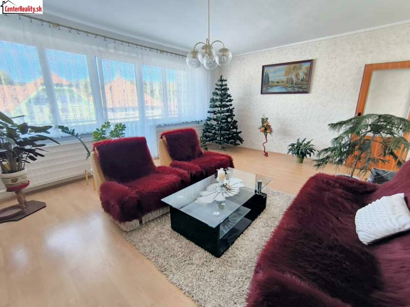 Living room in a family house with a sofa, carpet, plants, painting, and wooden decor flooring.