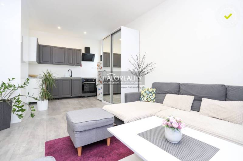 Living room in a two-room apartment with a kitchenette and a wooden decor floor.