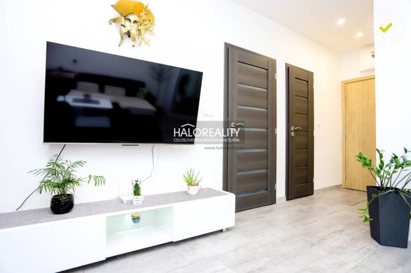 Living room in a two-room apartment with a TV, two doors, and plants.