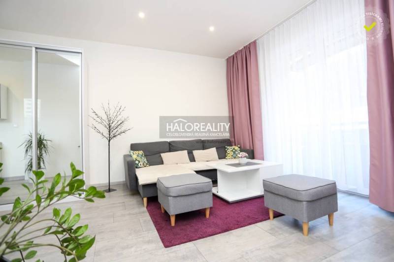 Living room in a 2-room apartment with a sofa, coffee table, and plants.