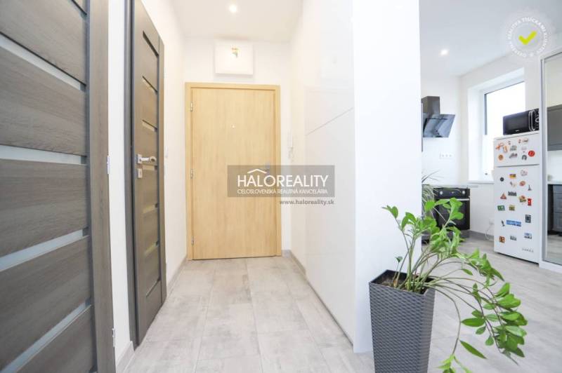 A hallway in a 2-room apartment with tiles, wooden doors, and a plant in a pot.