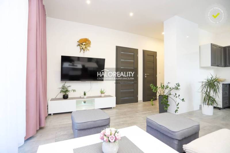 Living room in a two-room apartment with a television, plants, and a wooden decor floor.