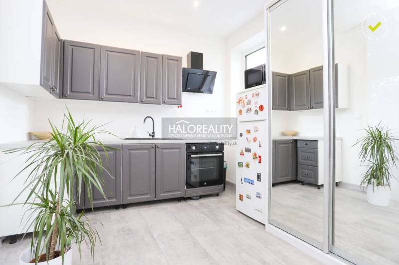 A kitchen in a 2-room apartment with white walls, gray cabinets, and a plant.
