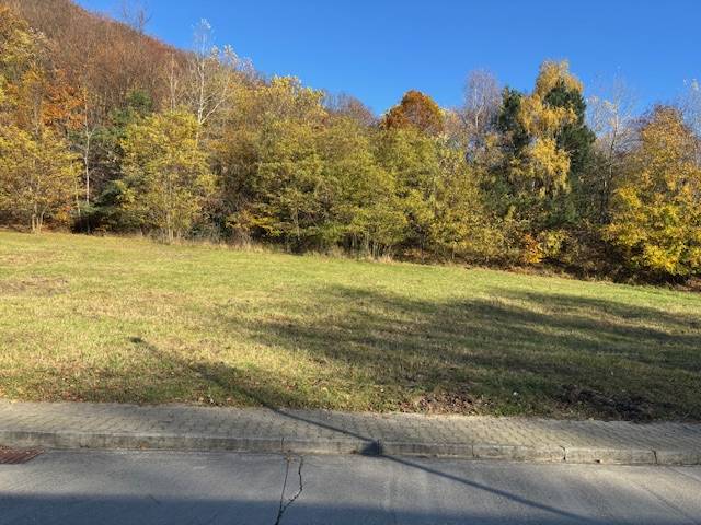 A grassy plot on Karpatská Street in Marianka surrounded by autumn trees. Land - residential.
