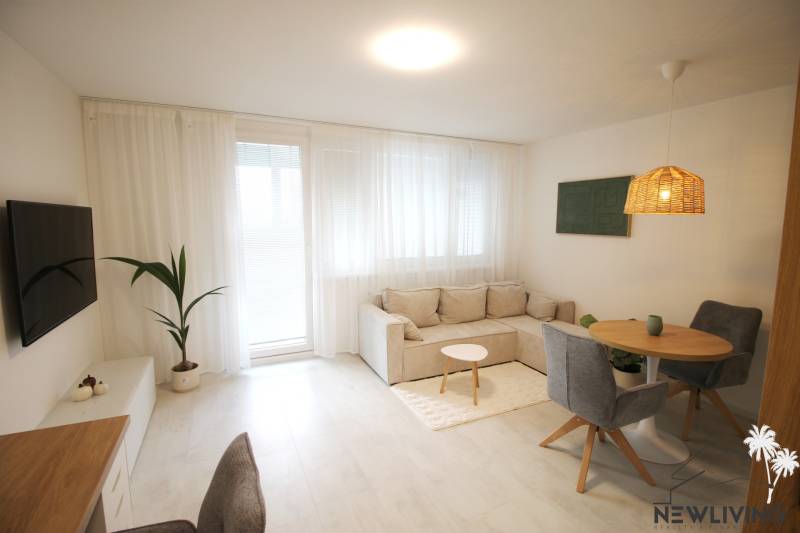 Spacious living room with a comfortable sofa, wooden decor flooring, dining table.