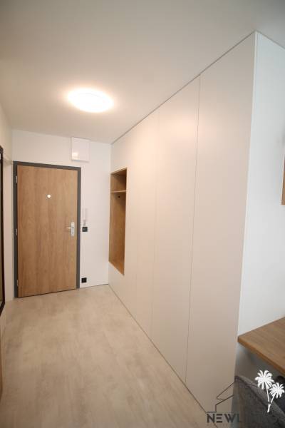The entrance hall of a one-room apartment with a wooden decor floor and wooden doors.