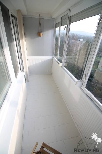 A glazed balcony with a white floor and a hanging flower pot in a studio apartment.