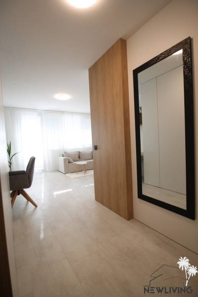 1-bedroom apartment with a large mirror and a floor with a wooden decor.