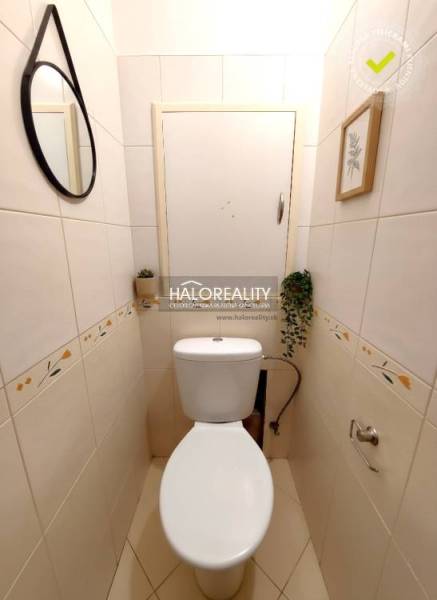 Bathroom in a 2-room apartment with a toilet, mirror, and a plant on the wall.