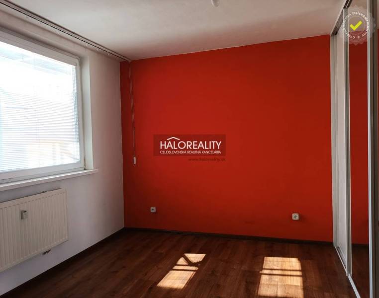 A studio apartment with a bright room and an orange wall, wooden floor, radiator by the window.